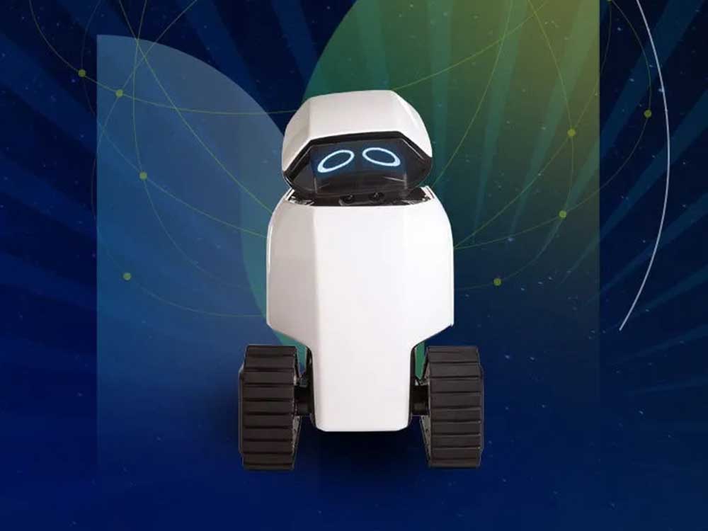 Do You Know That Delivery Robot?